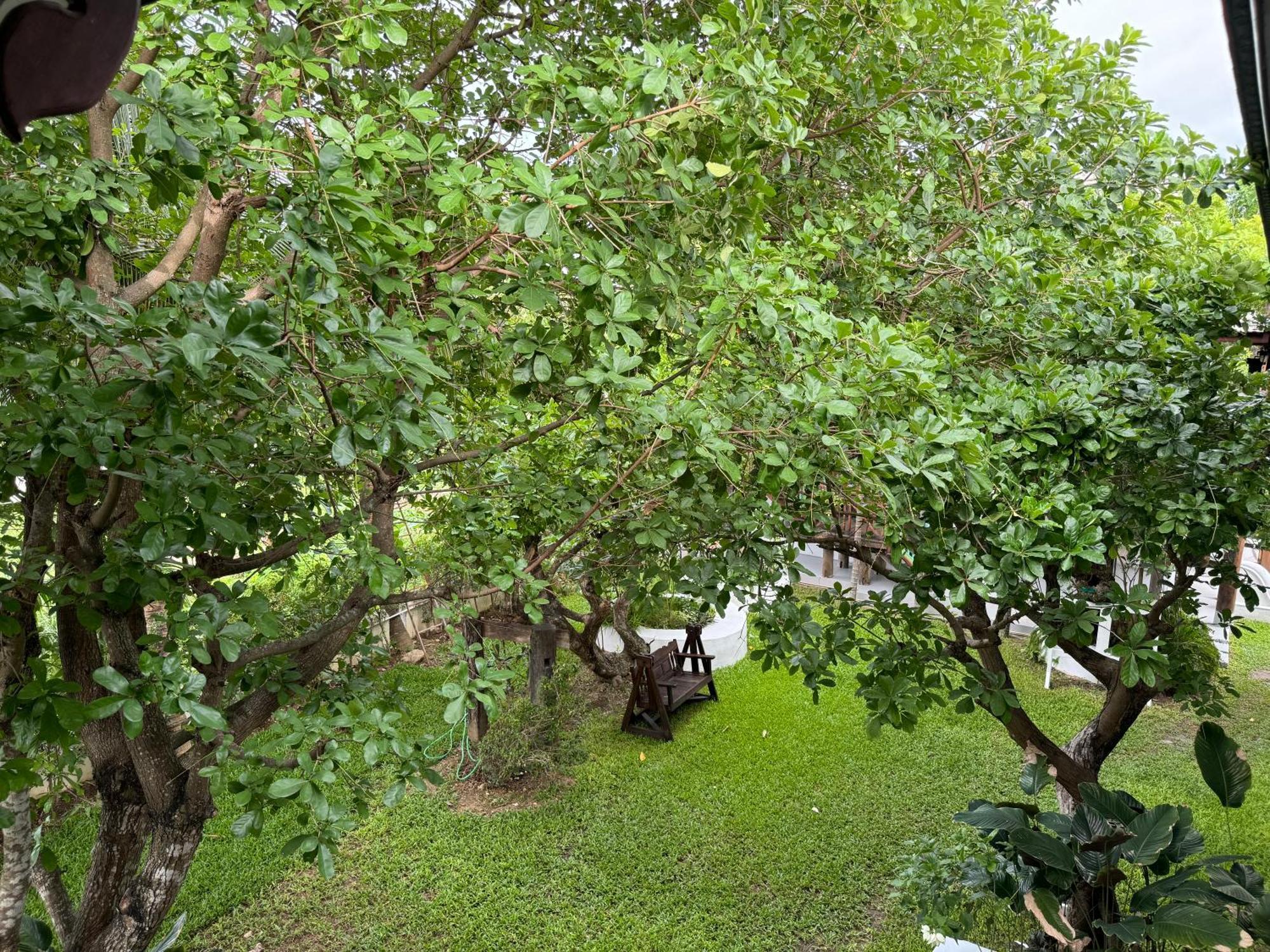 Chiang Mai Las Orquideas Resort Exterior foto